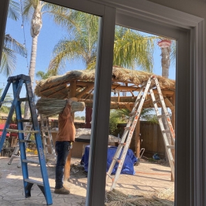 Photo of Tropical Shade Imports