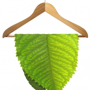 Photo of Dryeco Green Dry Cleaners