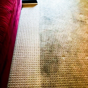 Photo of Super Clean Carpet NYC