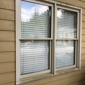 Photo of Vibrant Power Washing and Window Cleaning