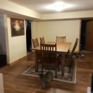 Photo of Marchio Tile & Carpet