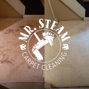 Photo of Mr Steam Carpet Cleaning