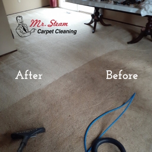 Photo of Mr Steam Carpet Cleaning
