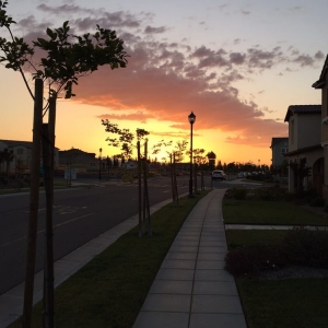 Photo of Renaissance Property Management