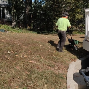 Photo of The Top Team Lawn Care