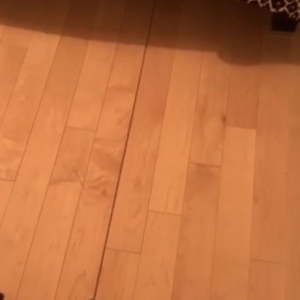 Photo of Scerri Quality Wood Floors & Paint