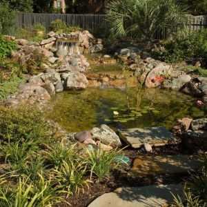 Photo of Lawn Connections