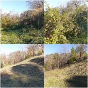 Charlotte Year Round Lawn & Landscape