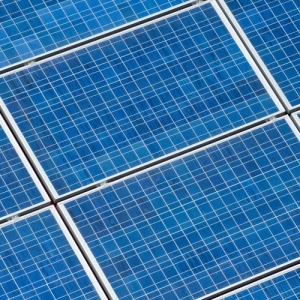 Photo of Alternative Energy Surprise