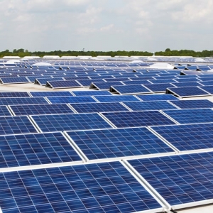 Photo of Alternative Energy Surprise