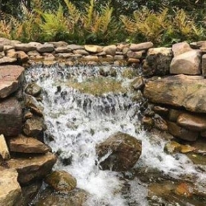 Photo of Pettit's Lawnscapes