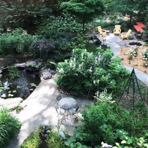 Takoma Park European Garden Design