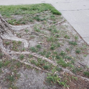 Photo of PMI Central Iowa