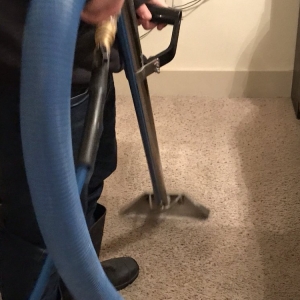 Photo of Ace Carpet Cleaning