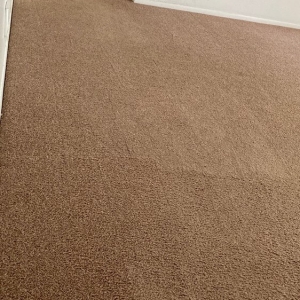 Photo of Ace Carpet Cleaning