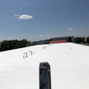 Photo of L.M. Roofing