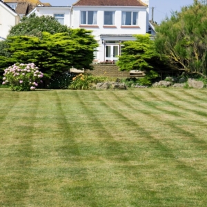Photo of D's Landscaping