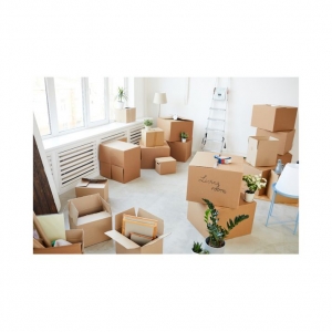 Photo of Buggage