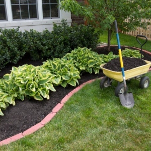 Photo of Evergreen Lawncare and Landscaping