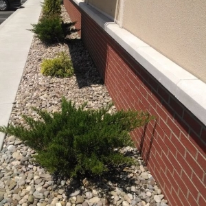 Photo of Evergreen Lawncare and Landscaping