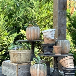Photo of Honey Locust Farms