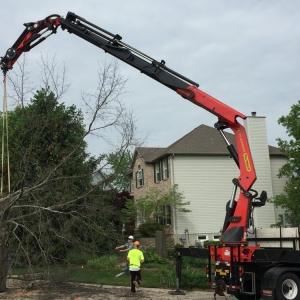 Photo of Allen's Tree Service