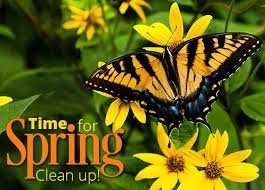 Photo of Cosme Landscape Maintenance