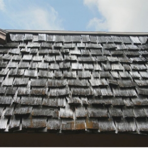 Photo of Allure Roofing & Construction