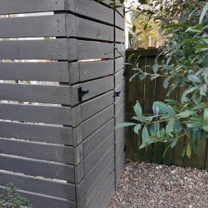 Photo of Her Fencing