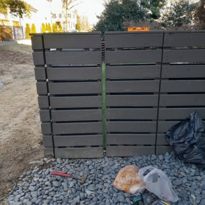 Photo of Her Fencing