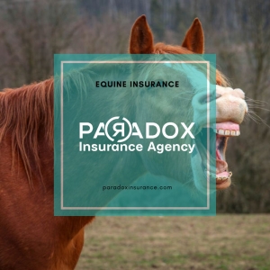 Photo of Paradox Insurance Agency