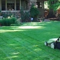 Photo of Valencia Torres Landscaping