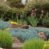 Photo of Valencia Torres Landscaping