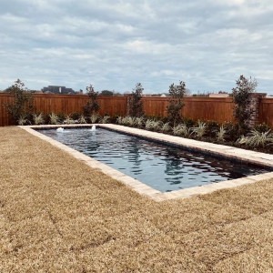 Photo of Tiger Landscapes
