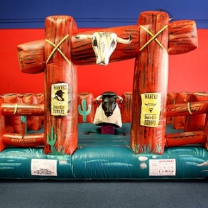 Photo of Texas Sumo Game Rental