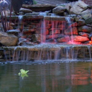 Photo of C Denny Landscaping