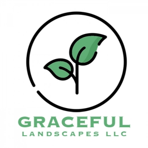 Photo of Graceful Landscapes