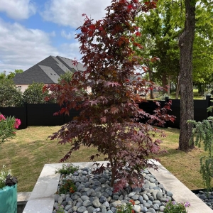 Photo of Imperial Landscape Works