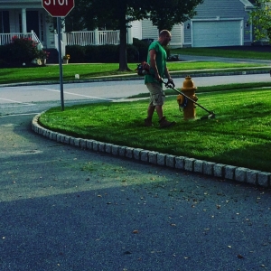 Photo of Procare Property Services Lawn Care & Landscaping