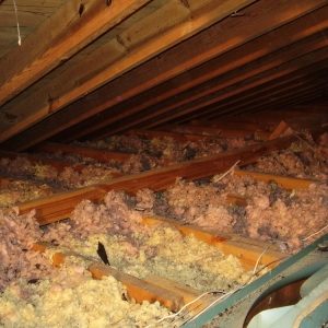 Photo of Attic Chief