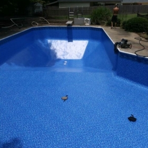 Photo of Blue Wave Pool Supplies