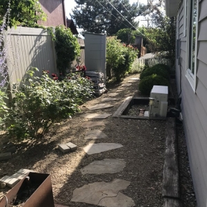 Photo of Electric Lamb Zero Emission Lawn Care