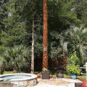 Photo of S & S Tree & Field Services