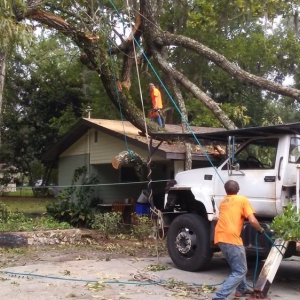 Photo of S & S Tree & Field Services