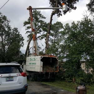 Photo of S & S Tree & Field Services