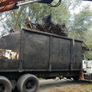 Photo of S & S Tree & Field Services