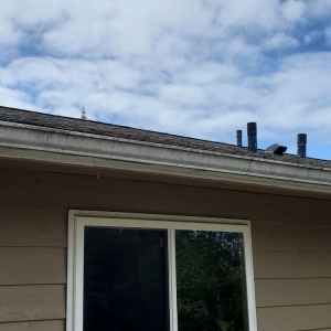 Photo of Raven Home Services