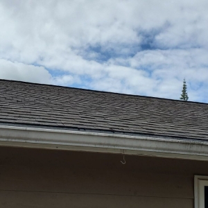 Photo of Raven Home Services