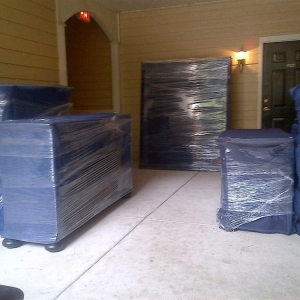 Photo of Top Dog Movers