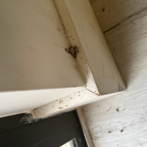 Photo of Vesta Property Services